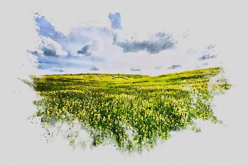 Zomerwind boven de velden