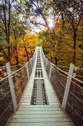 The suspension bridge