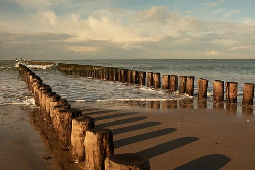 Brise-lames sur la plage d'Oostkapelle Zeeland