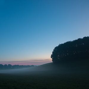 Morning dew sur Douwe Schut