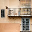 Balconies in Girona Spain by Sandra Hogenes thumbnail
