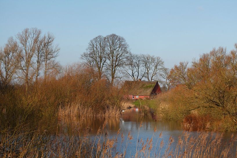 Deich von Torsten Krüger