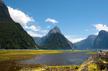 Milford Sound, Nieuw Zeeland van Eefoto Photography