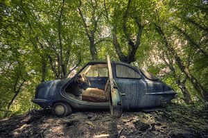 Urbex - Auto in het bos