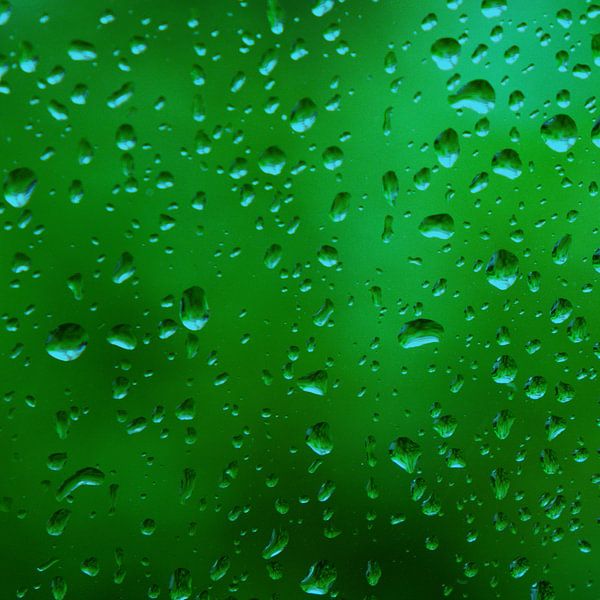 Sommerregen auf Glas: Versprechen von Wachstum und Vitalität von Jurgen Van den Bos