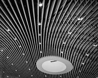 Ceiling detail in Delft train station