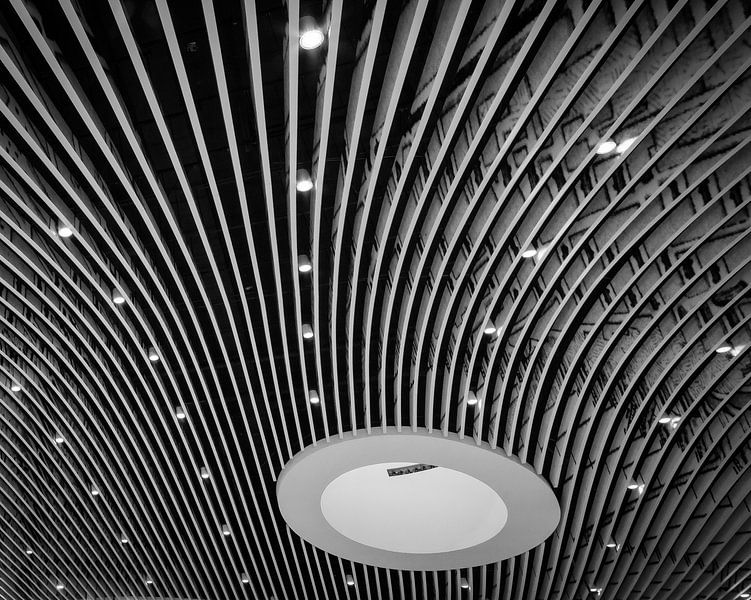 Detail van het plafond van treinstation Delft von Michael Echteld