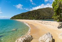 Tropical beach
