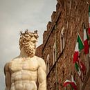 Florence - Fontana del Nettuno van Teun Ruijters thumbnail