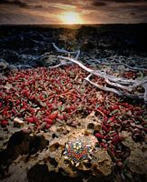 jewel in the caribbean 2