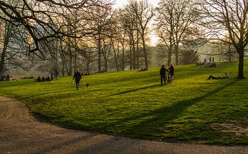 Sommerabend im Park von Sonsbeek von Mario Visser