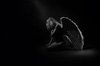 Fallen Angel