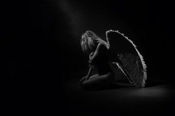 Fallen Angel by Dangtastic Shots