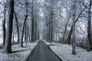 Old road to a castle,