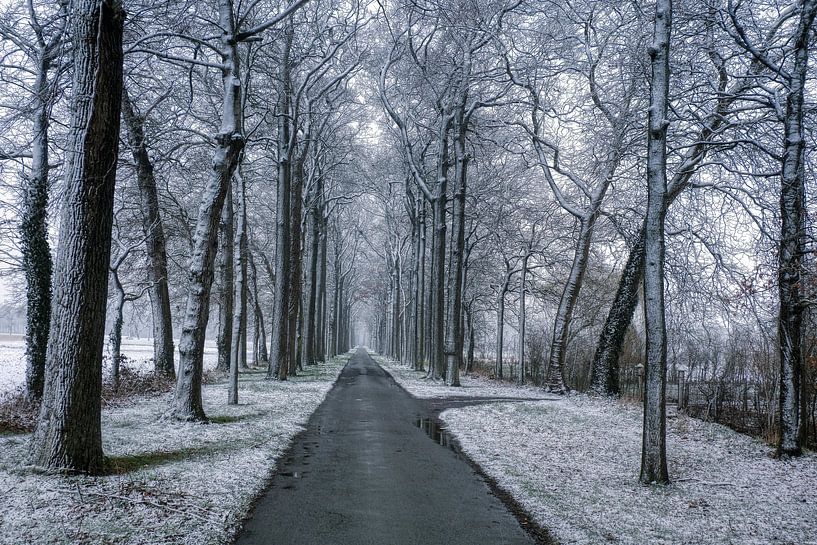 Alte Straße zu einer Burg, von Rudi Everaert