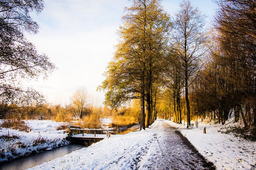 Westerpark in de sneeuw || Stadsnatuur in Amsterdam, winter van Suzanne Spijkers