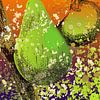 fruit X 3 sur Groothuizen Foto Art