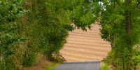 Landscape in Thuringia