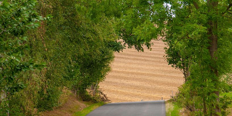 Landscape in Thuringia by Jan Meijer, Studio Meibrink