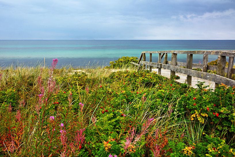 Spätsommer an der Ostsee von Gisela Scheffbuch