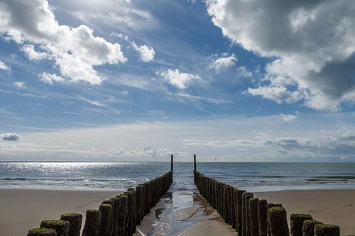 Paalhoofden op het Strand bij Vlissingen Zeeland