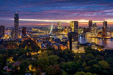 Blauwe uurtje vanaf de Euromast in Rotterdam van Ellen van den Doel