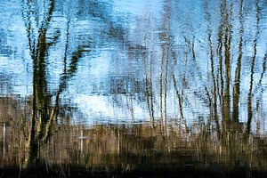 Abstraktion Spiegelung Bäume im See von Dieter Walther
