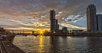 Kop van Zuid (Rotterdam) tijdens zonsondergang van Eddie Meijer thumbnail