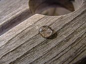 water drop on wood by Eric van Nieuwland thumbnail