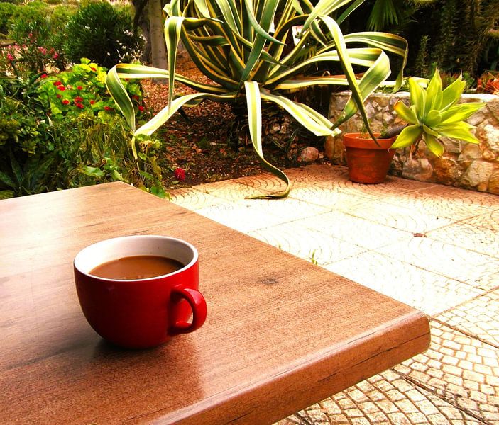 Cup of coffee in the garden by Monika Sobocik
