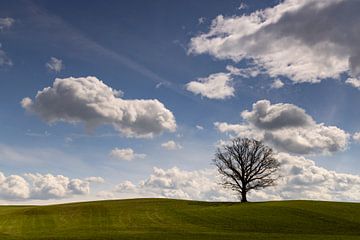 Vue sur le ciel