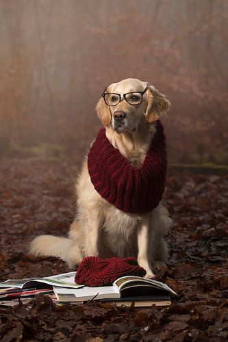 Professeur
