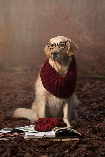 Professor by Dominique van Ojik