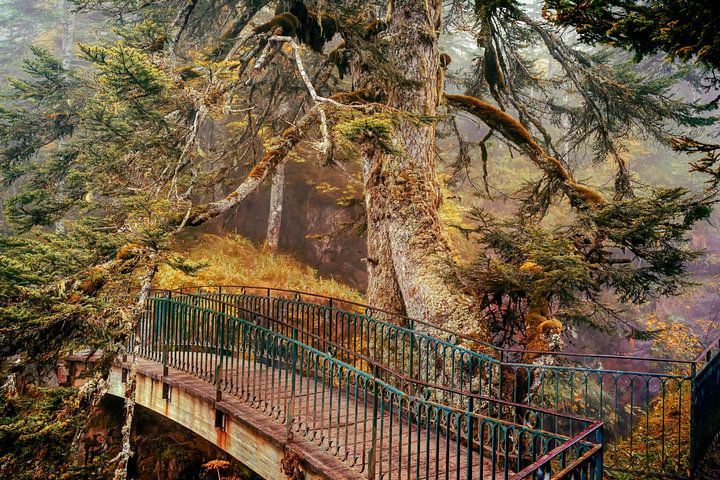 Pont d'Espagne van <span class="secondary-font">Lars van de Goor</span>