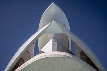 Palau de les artes reina sofia Valencia van Eric van Nieuwland