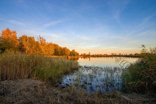 Teichland Linum, Fehrbellin, Brandenburg, Duitsland