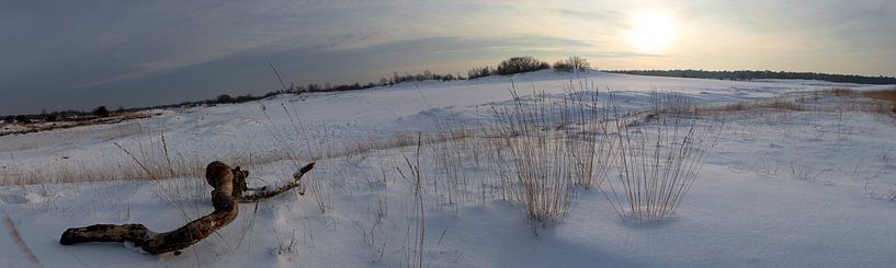 Panorama Besneeuwde Duinen van Leo van Valkenburg