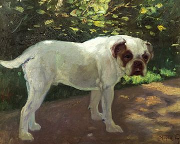 Arthur Heyer,Un bouledogue sur un chemin de jardin