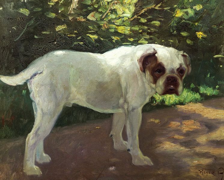 Arthur Heyer,A Bulldog on a Garden Path by finemasterpiece
