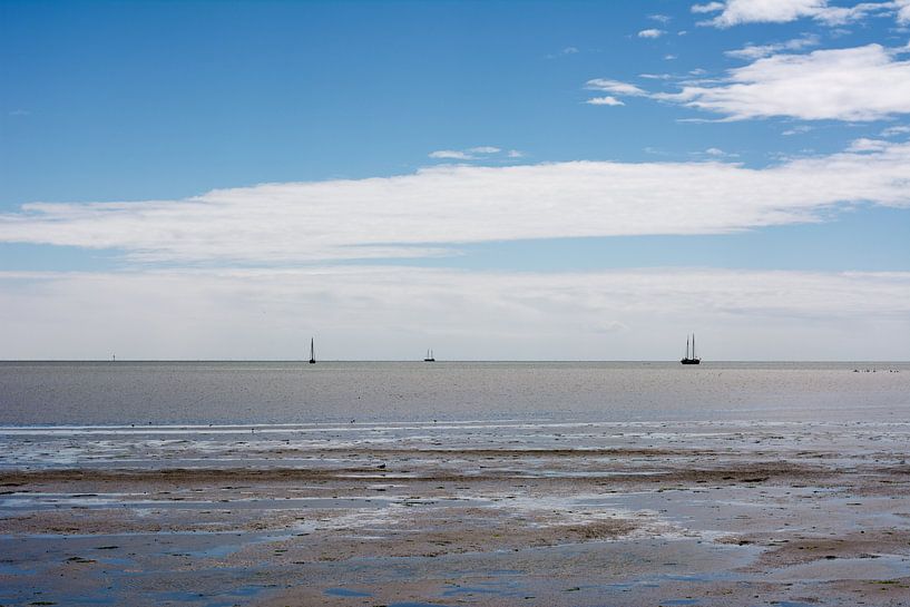 `t wad von Mark Scholten