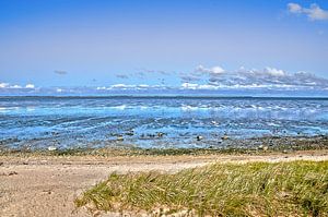 Das Watt bei Nordsee-Insel Amrum