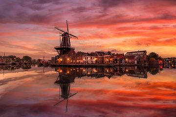 Un lever de soleil d'automne à Haarlem