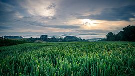 Wachtberg van Jens Unglaube