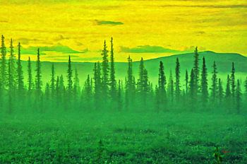 SONNENUNTERGANG-MOMENTE