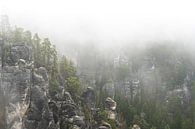 Sandstone rock world in the mist by Holger Spieker thumbnail