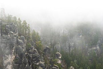 Zandstenen rotswereld in de mist van Holger Spieker