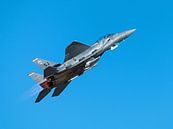 Strike Eagle F-15 take-off von Bob de Bruin Miniaturansicht