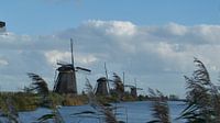 WIndmolens van Kinderdijk