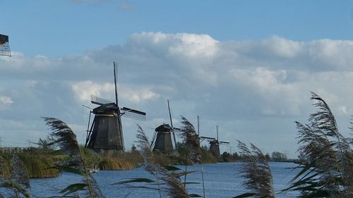 WIndmolens van Kinderdijk