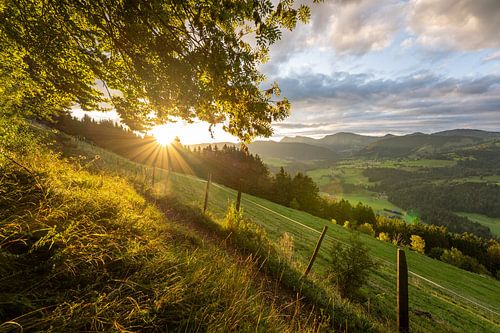 Zonsopgang op de Kapf bij Oberstaufen met uitzicht op Steibis en de Hochgrat in de Allgäu